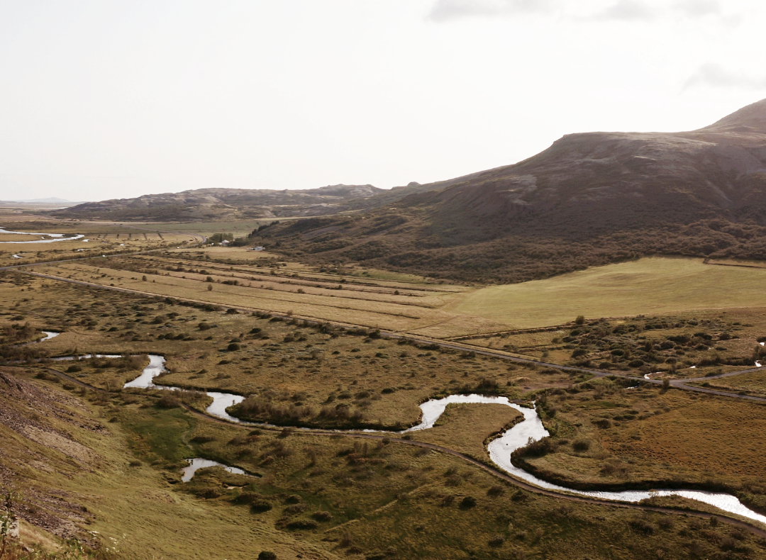 On the road to circularity: 5 steps every company needs to take