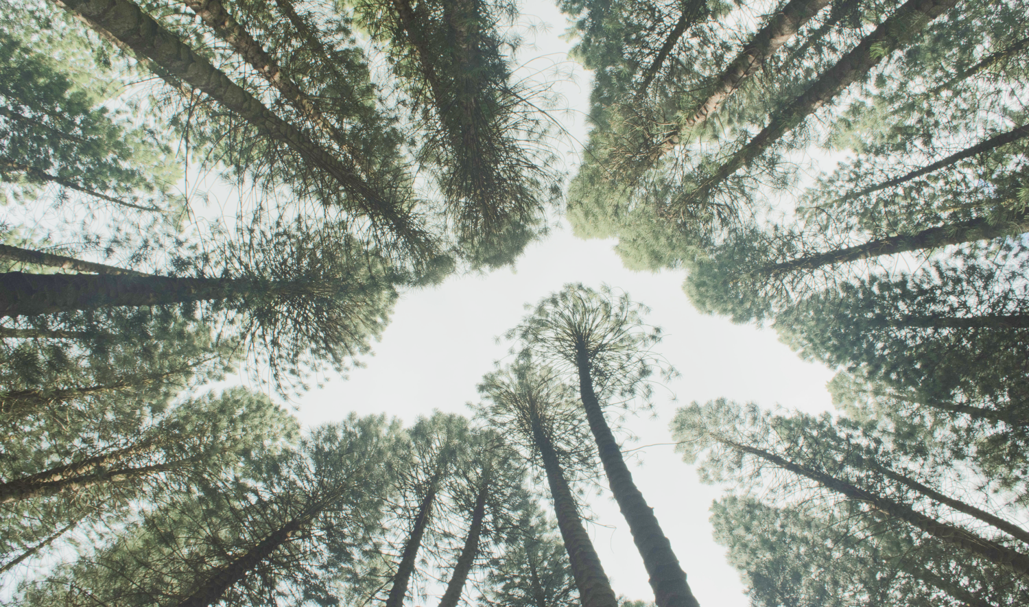 What are regenerative fashion brands doing? Get inspired for an holistic change