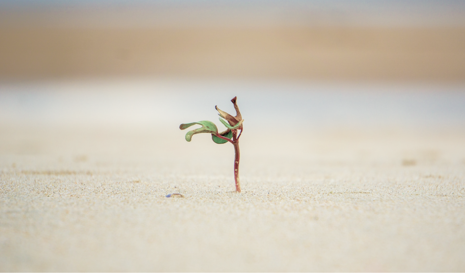 Measuring the performance of Corporate Social Responsibility (CSR) in fashion, key takeaways