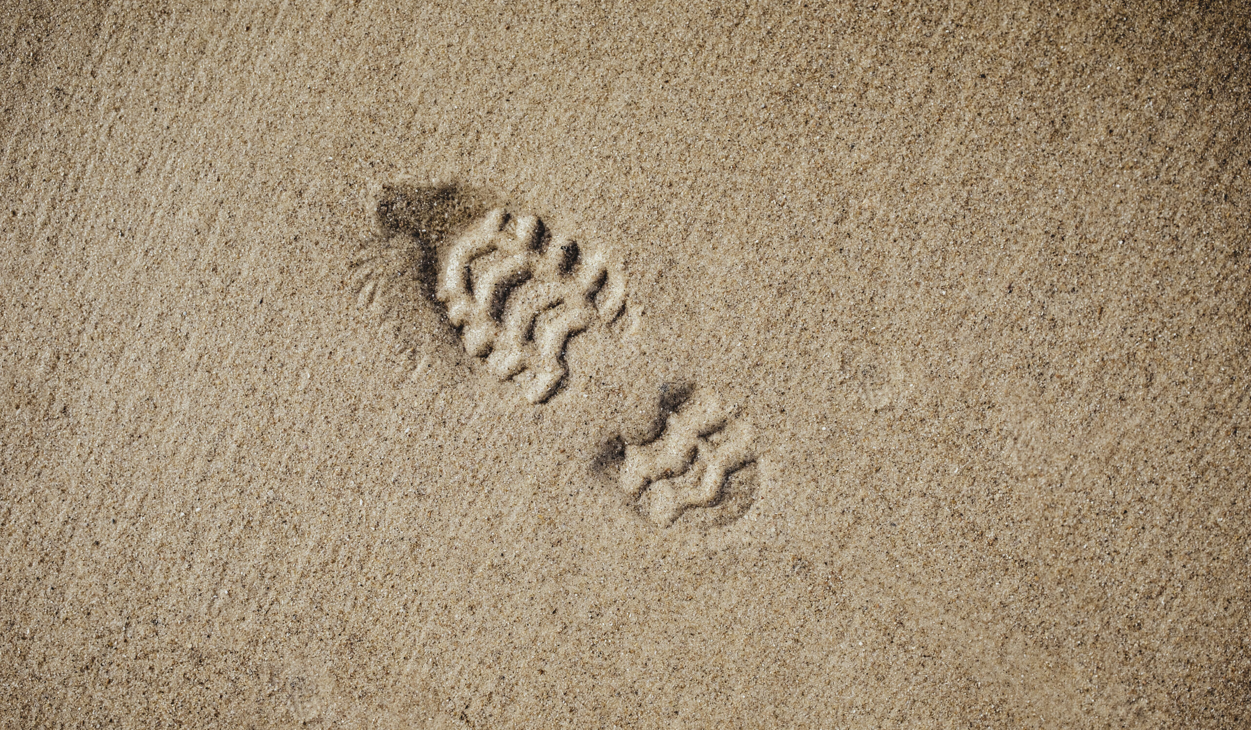 From fashion to action. Learn how to unlock the footprint of your products