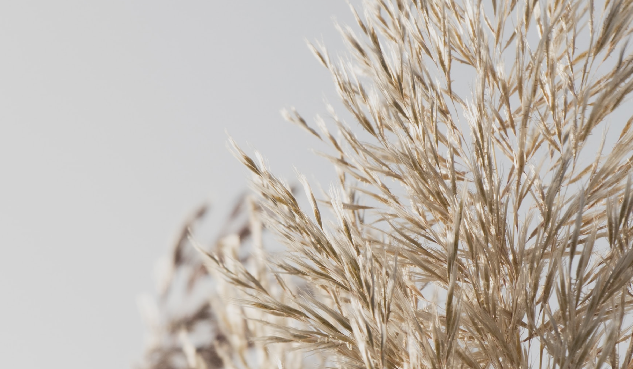 Greenwashing examples: 7 mistakes your fashion brand could be making and how to avoid them