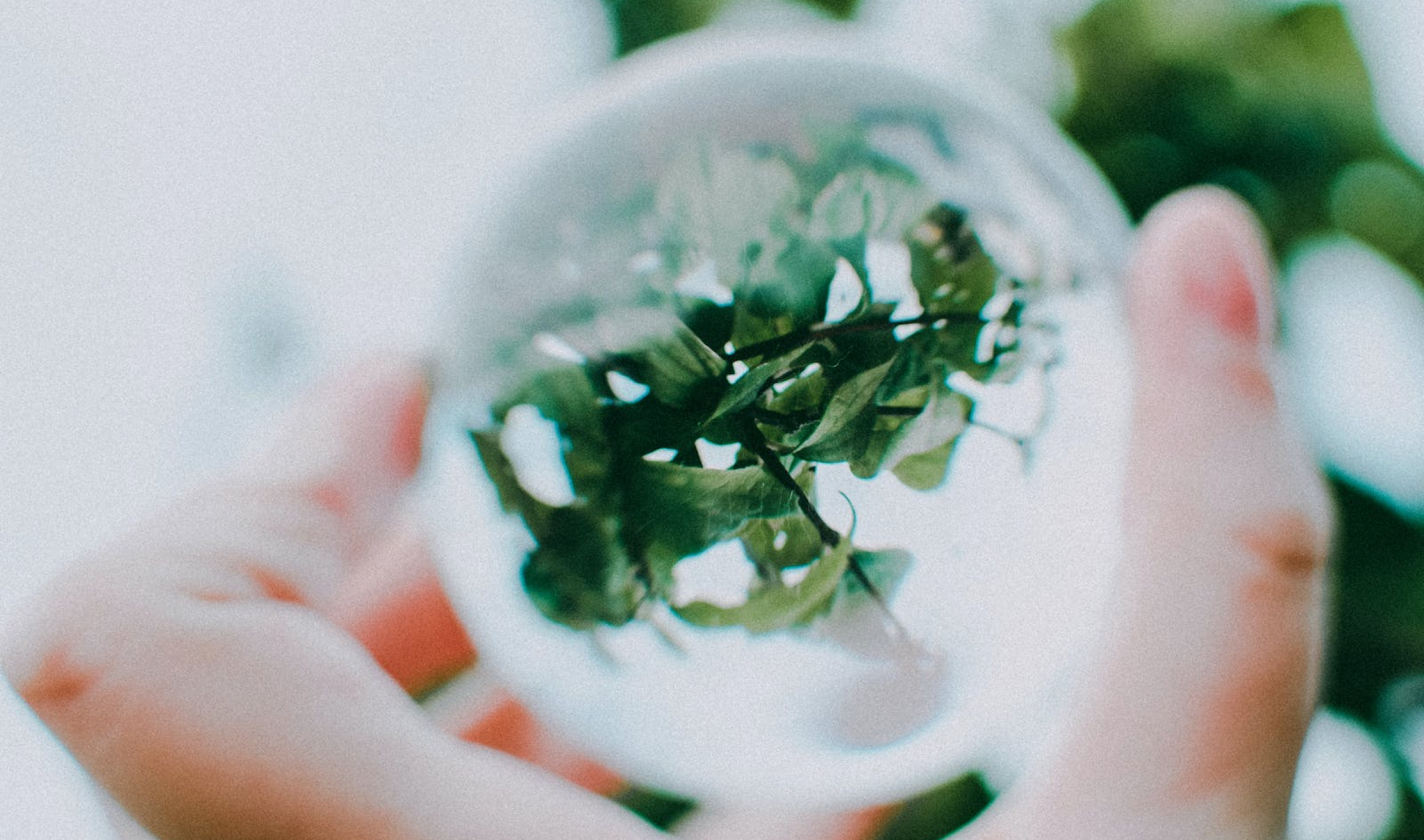 How do Circular Economy Indicators (CEI) impact fashion? Unlock circularity with key metrics for your business